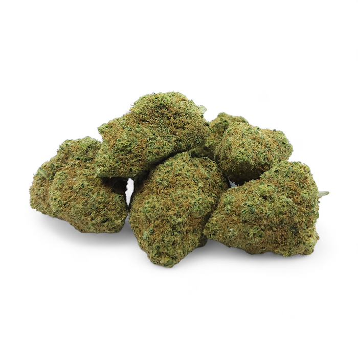 Fleur CBD TROPICAL HAZE Indoor Premium Suisse – vue principale