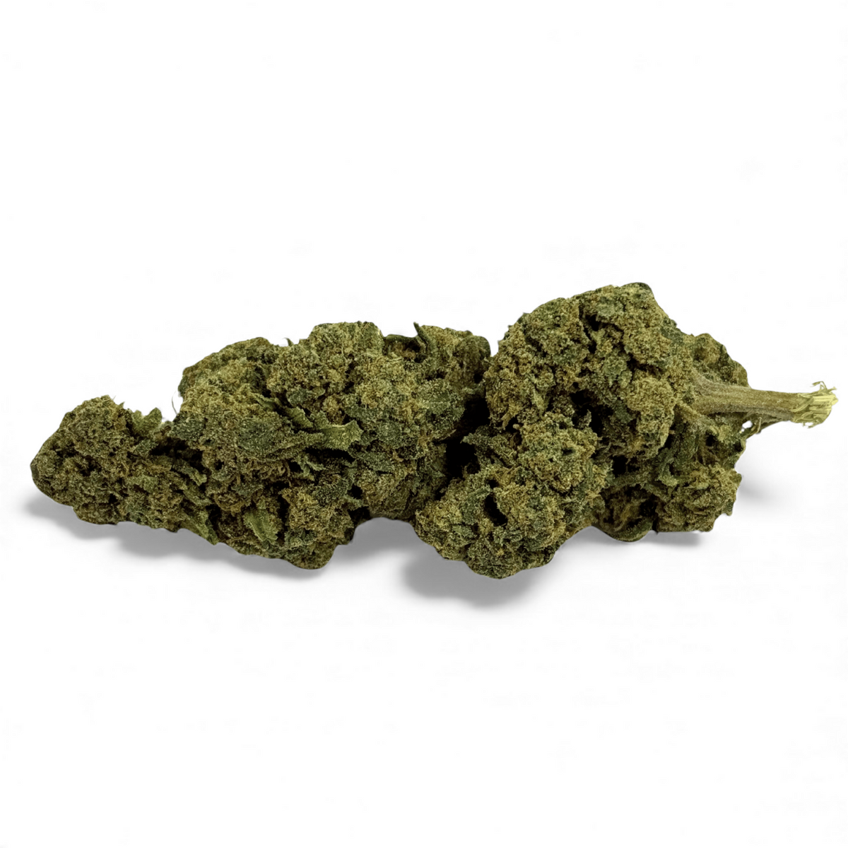 Fleur de CBD Candy Kush Greenhouse – détail 4