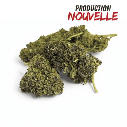 Fleur CBD Saphire Hybride Indoor – détail 2