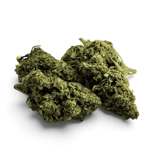 Fleur de CBD Tropical Haze Indoor – détail 2