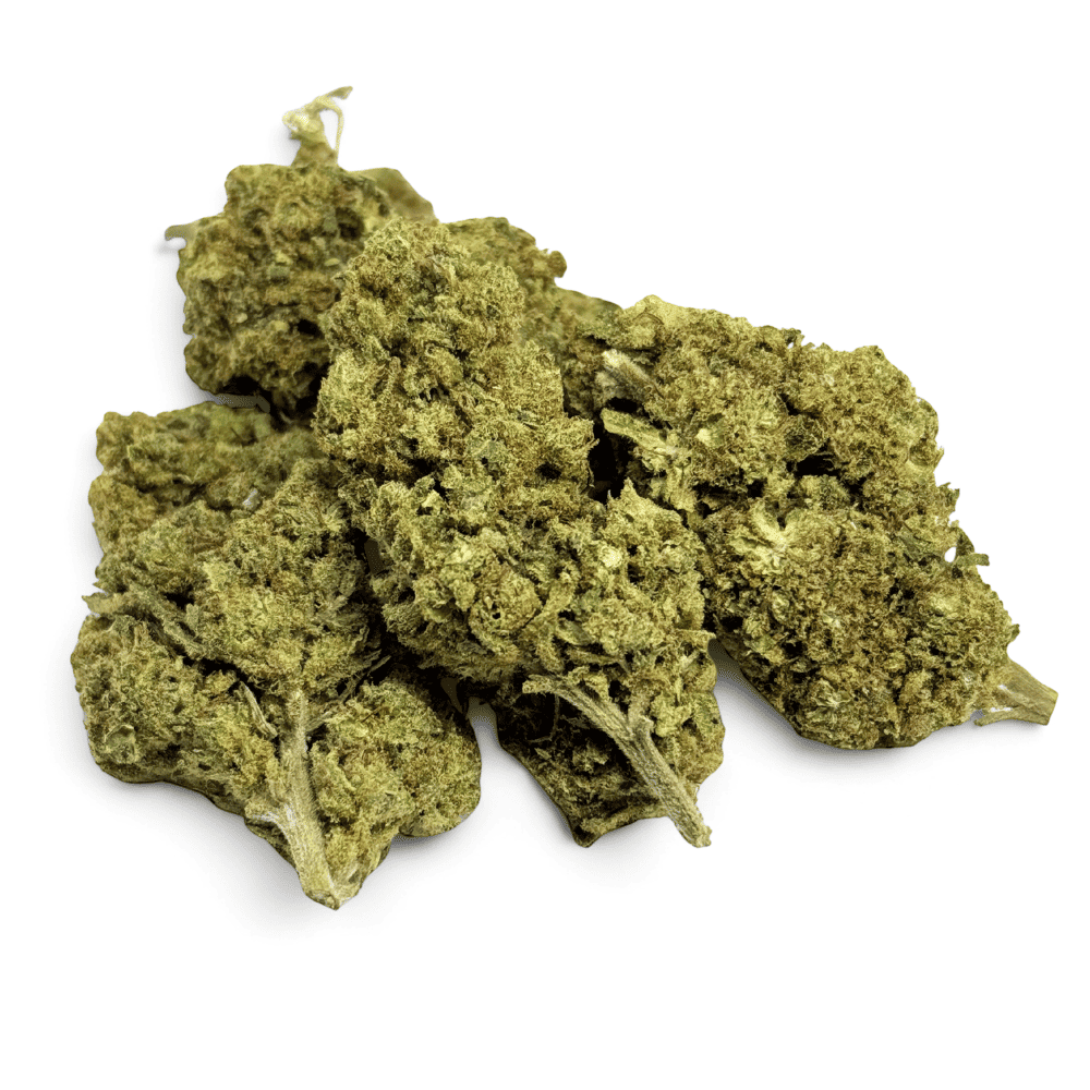 Fleur de CBD Great White Shark Greenhouse – détail 3