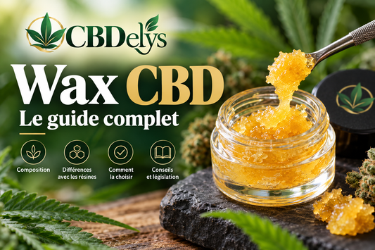 Wax CBD, extrait concentré de chanvre à texture cireuse – Guide CBDelys.
