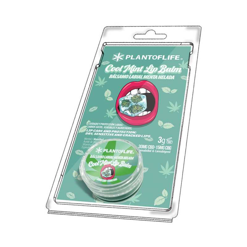 Baume lèvres CBD & CBG menthe | PLANT OF LIFE - CBDelys