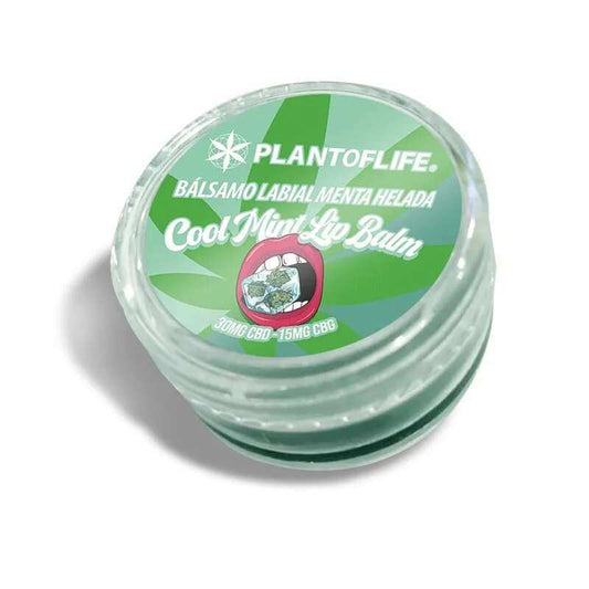 Baume lèvres CBD & CBG menthe | PLANT OF LIFE - CBDelys
