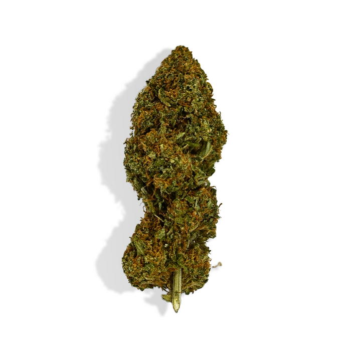 Fleur de CBD - CANDY KUSH – vue principale