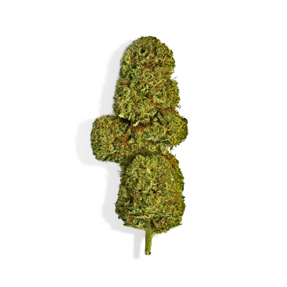 Fleur de CBD - OG DIAMOND – vue principale