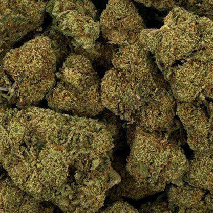 Fleur de CBD - RASPBERRY HAZE