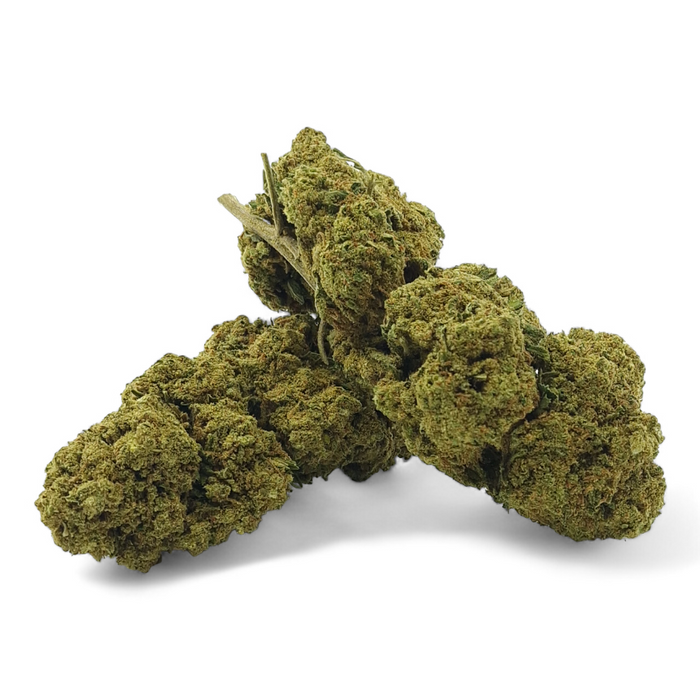 Fleur de CBD Harlequin Indoor Premium – vue principale