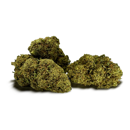 Fleur de CBD MCP-N 20% – détail 2
