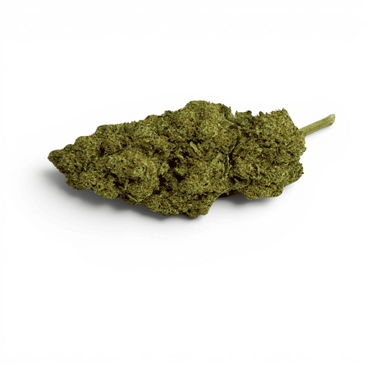 Fleur CBD Gelato Glue Indoor – détail 2