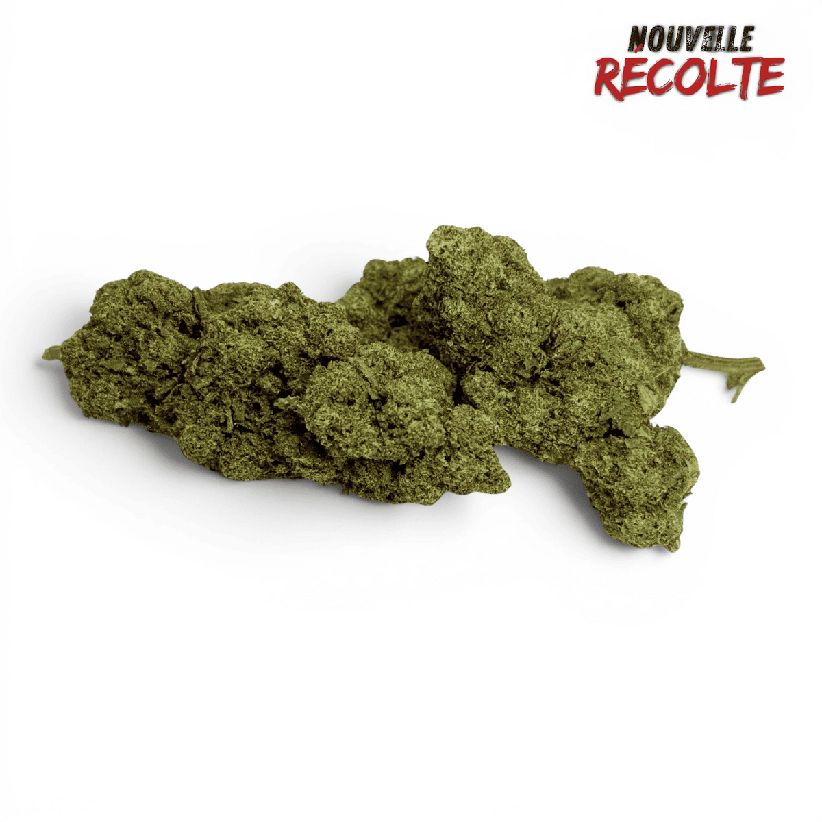 Fleur CBD Gelato Glue Indoor – vue principale