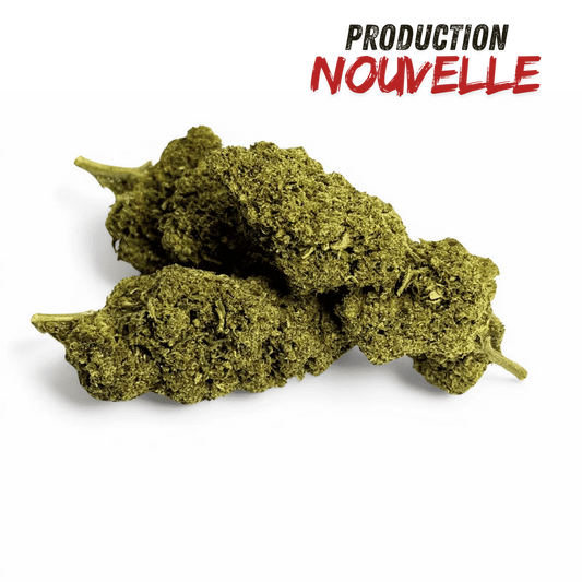 Fleur CBD Pineapple Express Greenhouse – détail 2