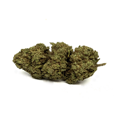 Fleur de CBD White Widow Greenhouse – détail 2