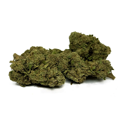 Fleur de CBD OG Kush Greenhouse – vue principale