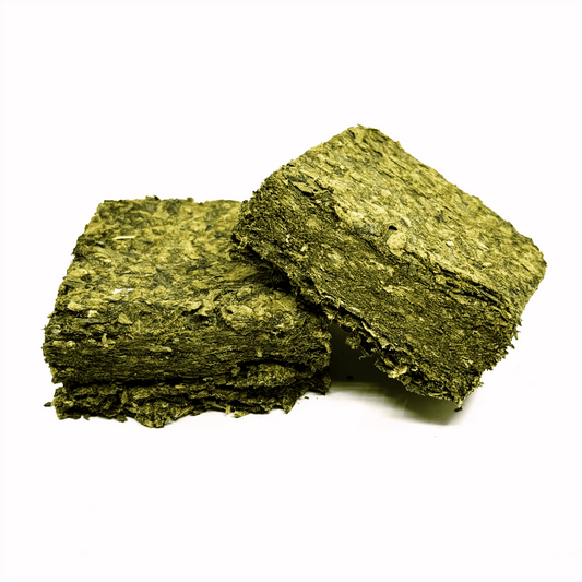 Canna Plaquette 50g Indoor - CBDelys