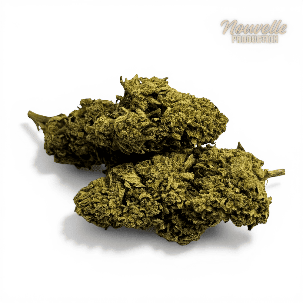 Fleur de CBD California Pink Haze NL-1 10% – vue principale