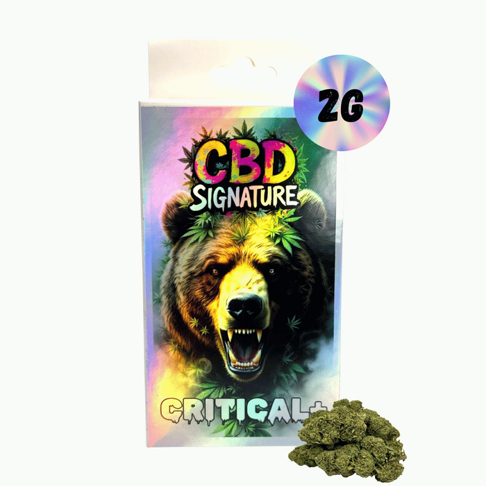 Fleur de CBD Critical+ 2G - CBD Signature – vue principale
