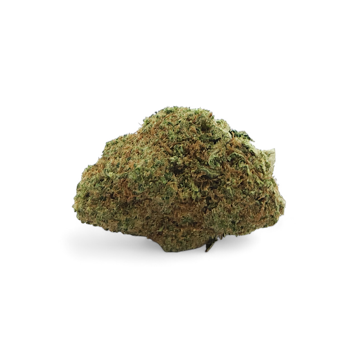 Fleur CBD TROPICAL HAZE Indoor Premium Suisse – détail 2