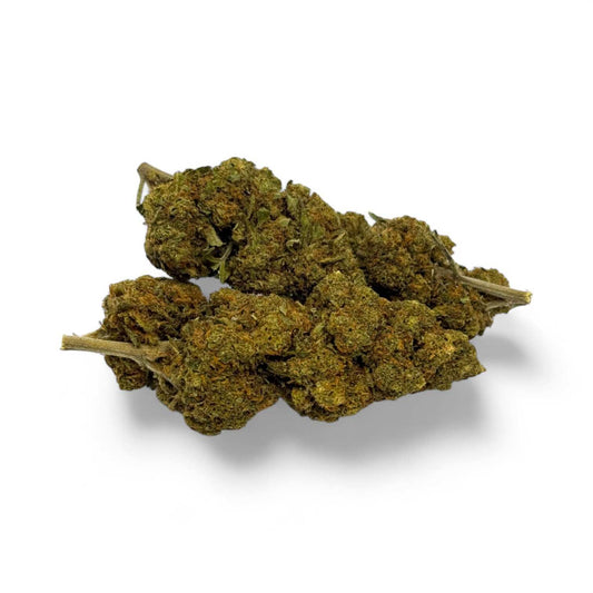 Fleur CBD Critical+ Greenhouse 8% – détail 3
