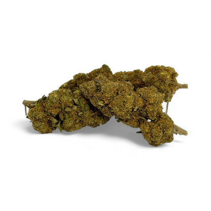 Fleur CBD Critical+ Greenhouse 8% – détail 2