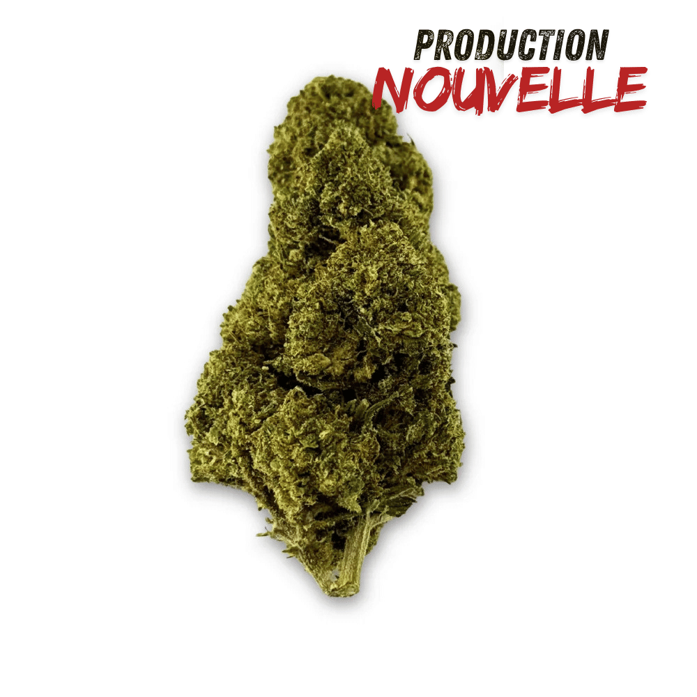 Fleur de CBD Green Crack Indoor Edition Limitée – vue principale