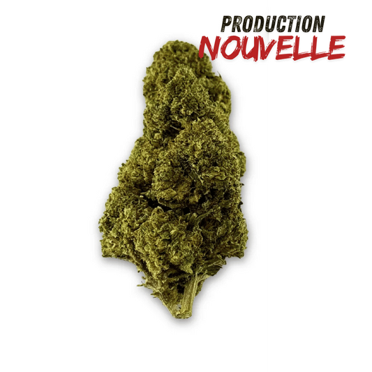 Fleur de CBD Green Crack Indoor Edition Limitée – vue principale