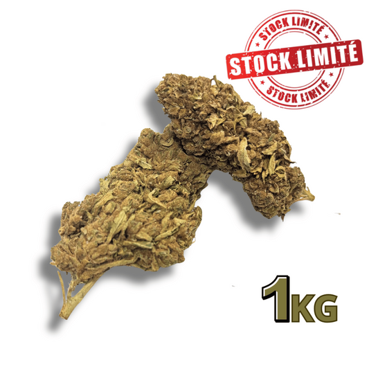 Fleur de CBD Tonic Kush Outdoor 1KG - – détail 2