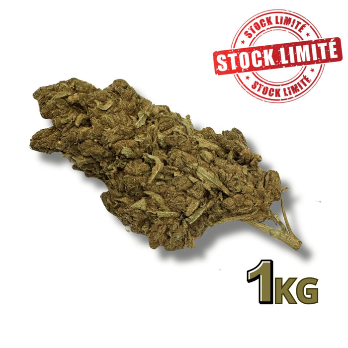 Fleur de CBD Tonic Kush Outdoor 1KG -