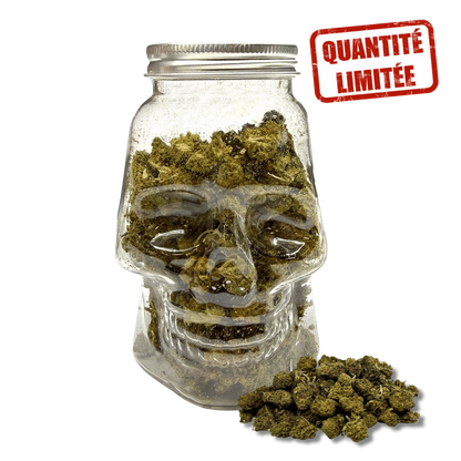 Fleurs CBD Small Bud Skull 25GR - Édition Limitée Halloween - CBDelys