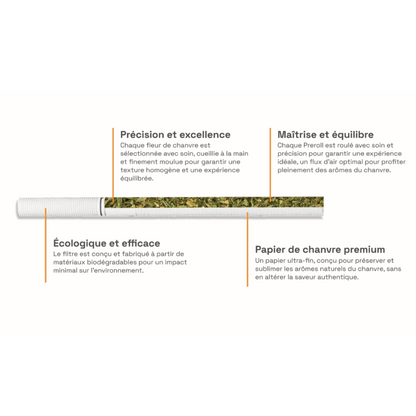 Cigarettes CBD Amnesia COAST - CBDelys
