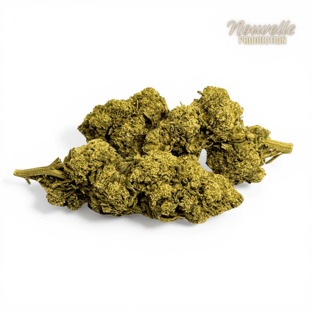 Fleur Tropical Haze 2.0 CBDX (CBD Xtrem) NL-1 12,5% Indoor
