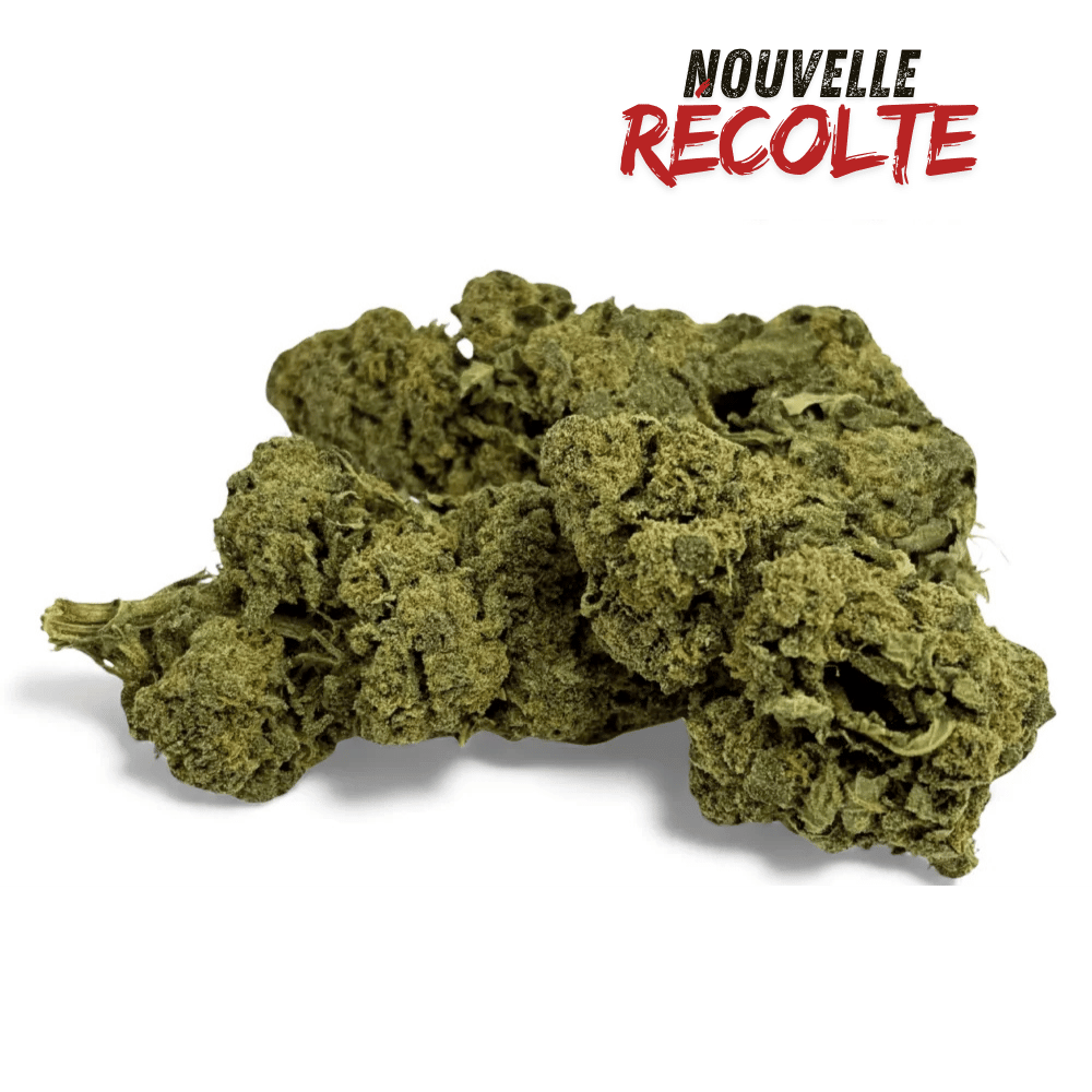 Fleur de CBD Candy Kush Greenhouse – vue principale
