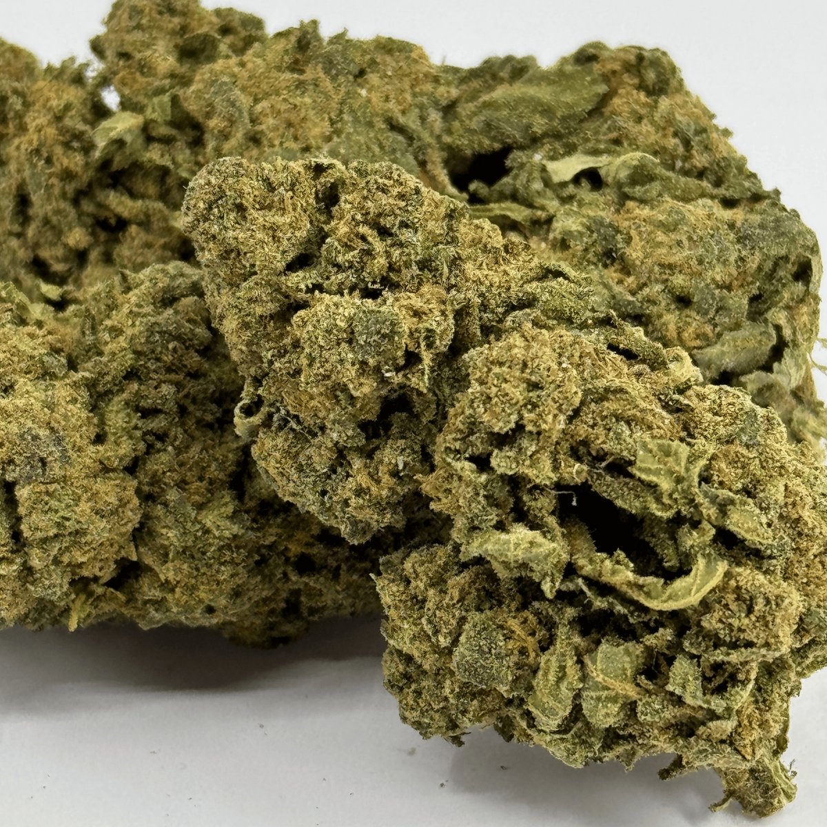 Fleur de CBD Candy Kush Greenhouse – détail 5