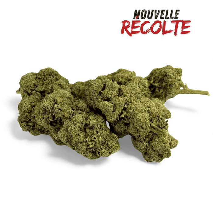 Fleur de CBD Grape Gas Greenhouse – vue principale
