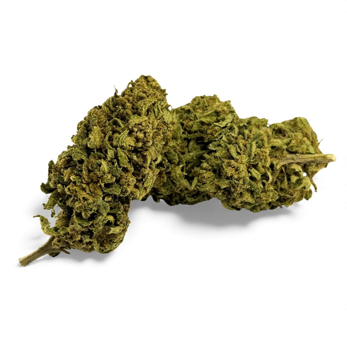 Fleur de CBD Banana Smash Greenhouse – détail 4