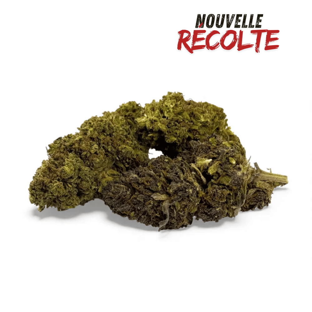 Fleur de CBD Mandarine Haze Greenhouse – vue principale