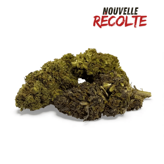 Fleur de CBD Mandarine Haze Greenhouse – vue principale