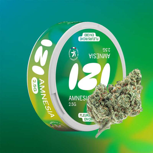 Fleur de CBD Amnesia 2.5g - IZI – vue principale