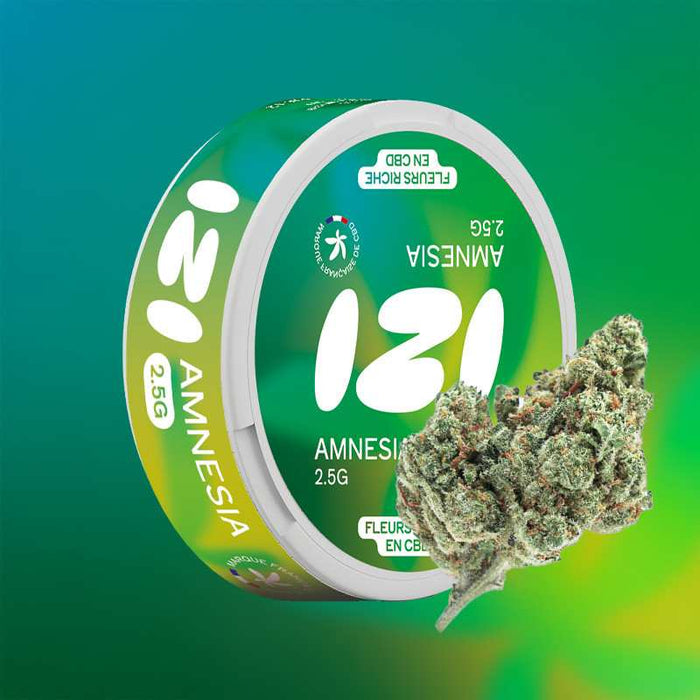 Fleur de CBD Amnesia 2.5g - IZI – vue principale