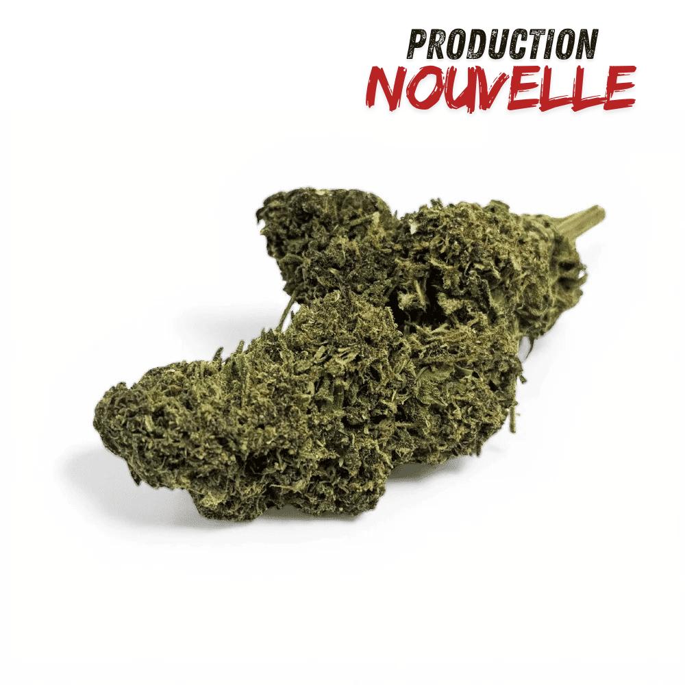 Fleur CBD Saphire Hybride Indoor