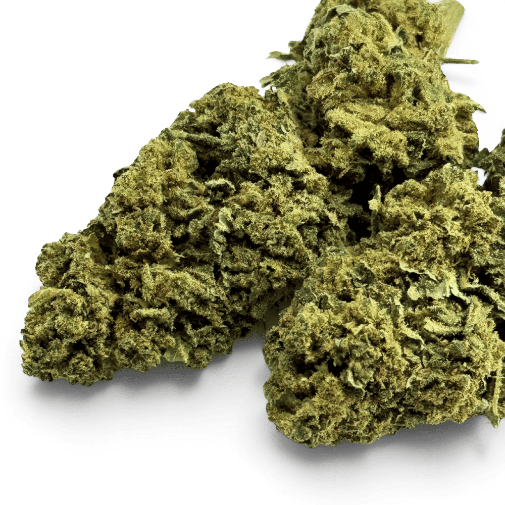 Fleur de CBD Super Silver Haze Indoor – détail 3