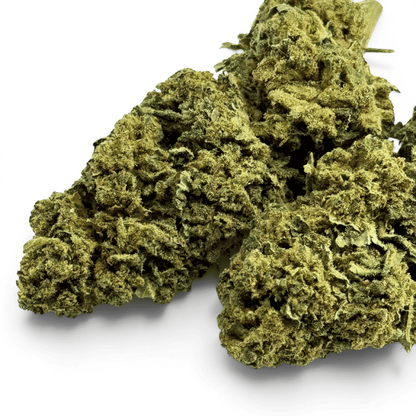 Fleur de CBD Super Silver Haze Indoor – détail 3