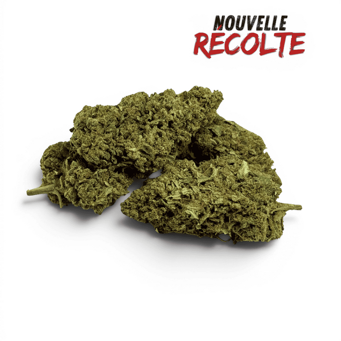 Fleur de CBD Super Silver Haze Indoor – vue principale
