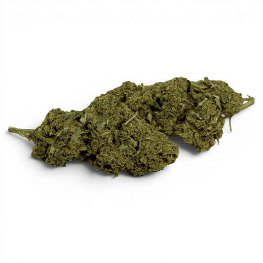Fleur de CBD Super Silver Haze Indoor – détail 2