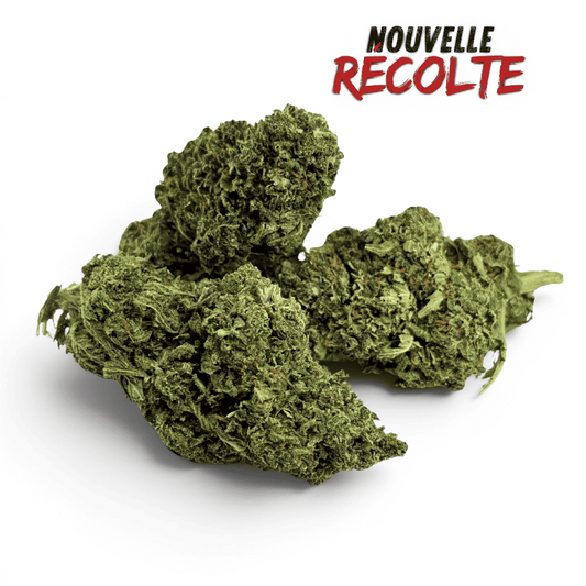 Fleur de CBD AK-47 Indoor – vue principale