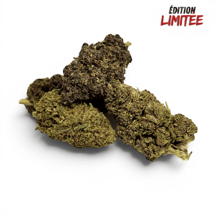 Fleur Purple Haze CBDX (CBD Xtrem) Indoor 20% – vue principale
