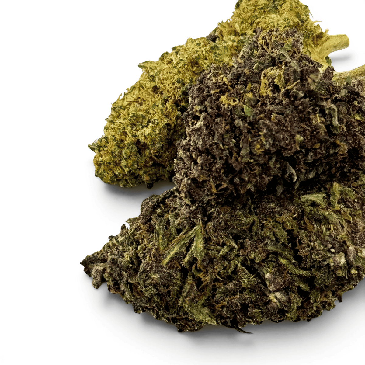 Fleur Purple Haze CBDX (CBD Xtrem) Indoor 20% – détail 3
