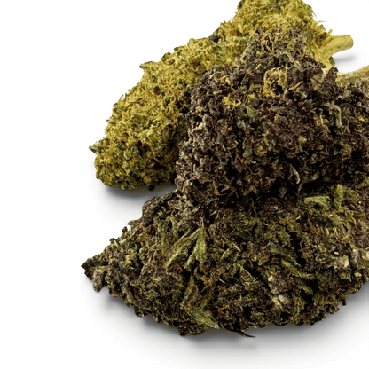 Fleur Purple Haze CBDX (CBD Xtrem) Indoor 20% – détail 3