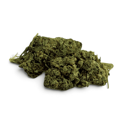 Fleur de CBD Tropical Haze Indoor – détail 3