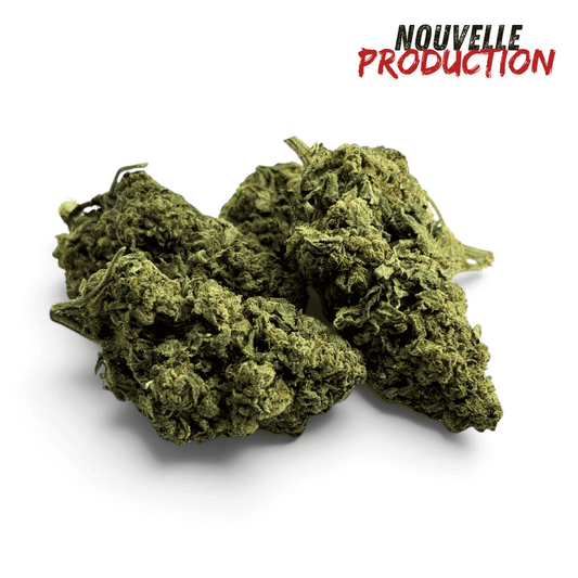 Fleur de CBD Tropical Haze Indoor – vue principale